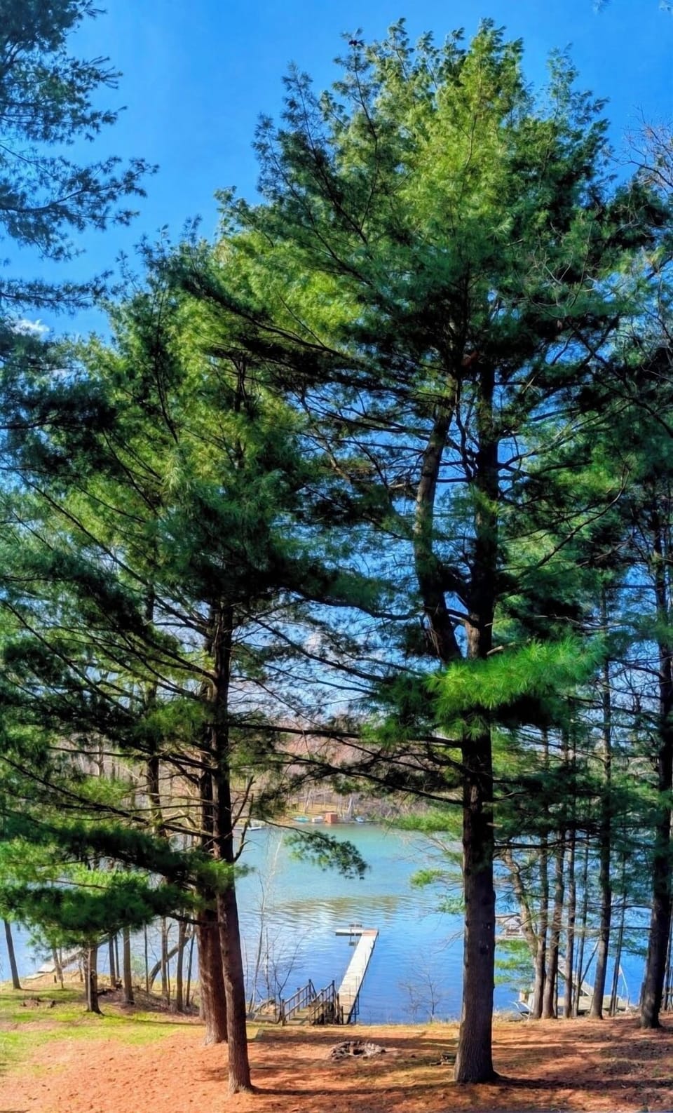 View from the deck.