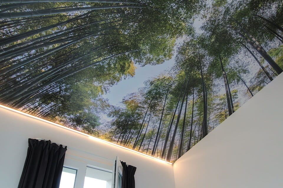 Autumn, Bedroom, Spring, Summer