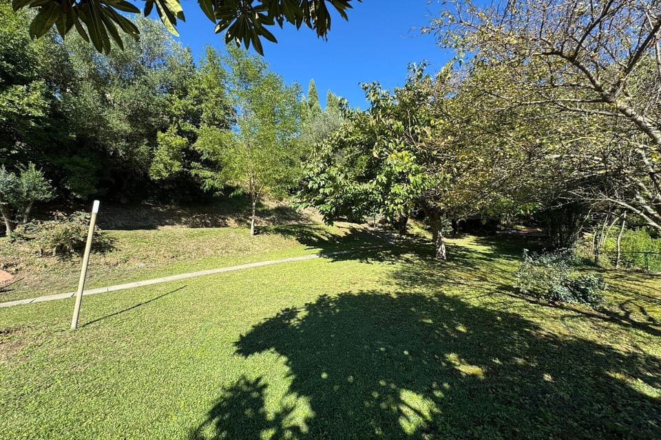 Garden [summer]