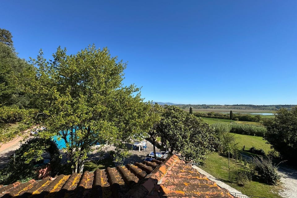 View from Holiday Home [summer]