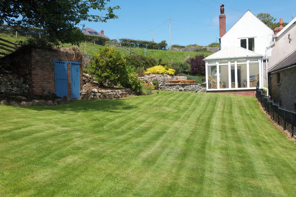 Back garden