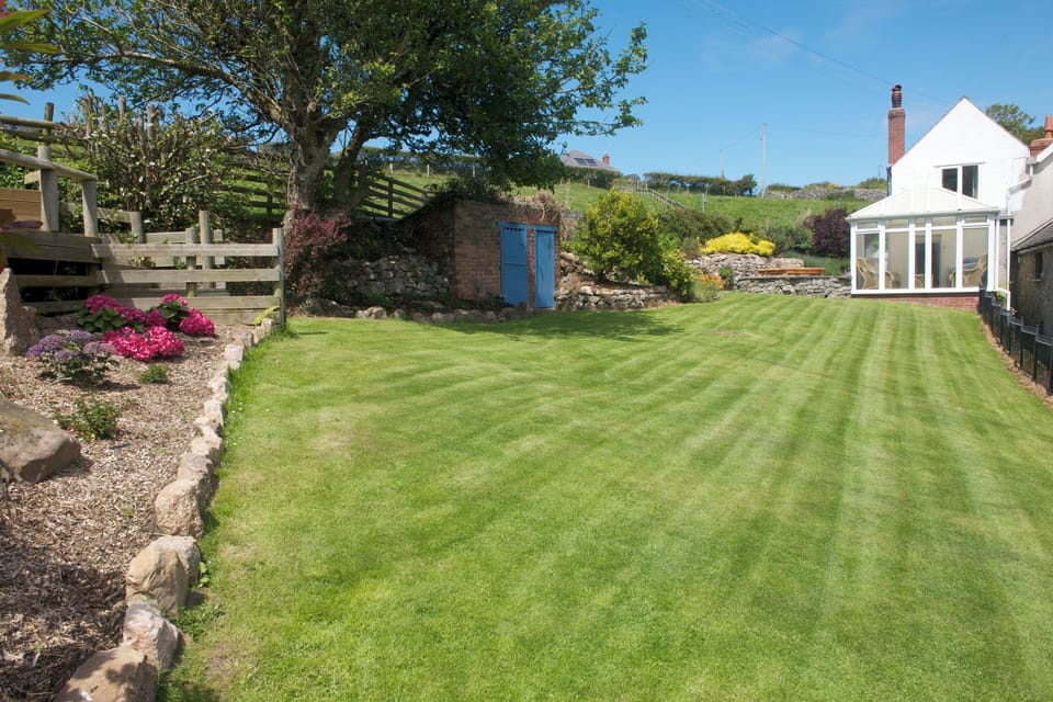 Back garden