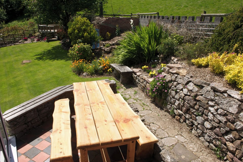 Back garden