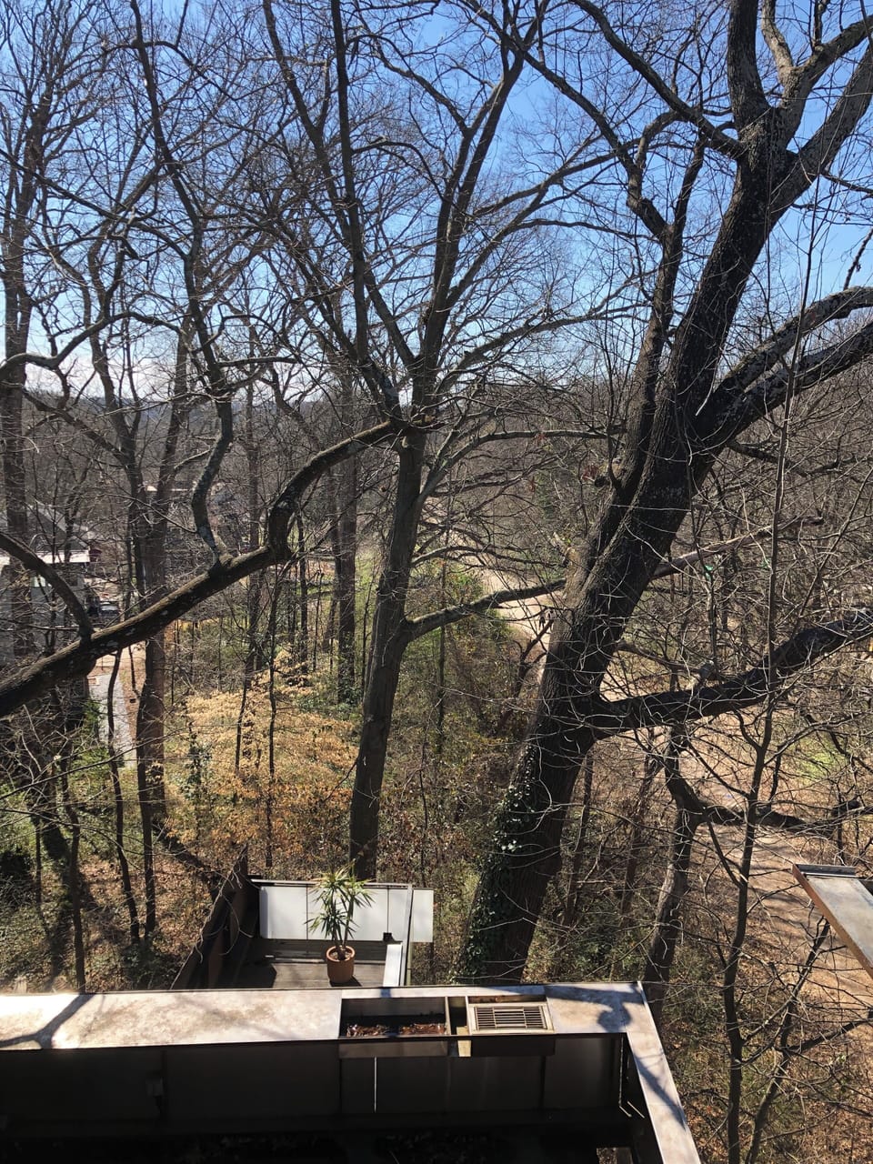 View from property