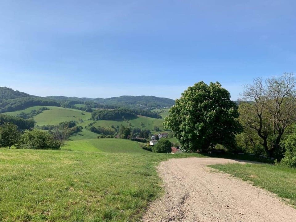 Blick aufs Tal von der „Schönsten Aussichtsbank“ 

Bei Google ausgewiesen, kurzer Waldweg vom Wanderparkplatz führt zu der Bank 