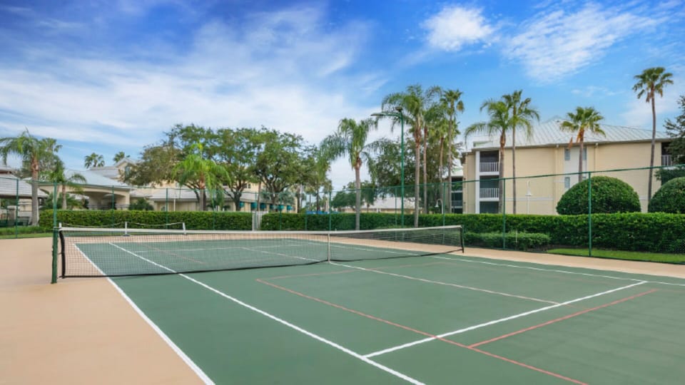 Sport court