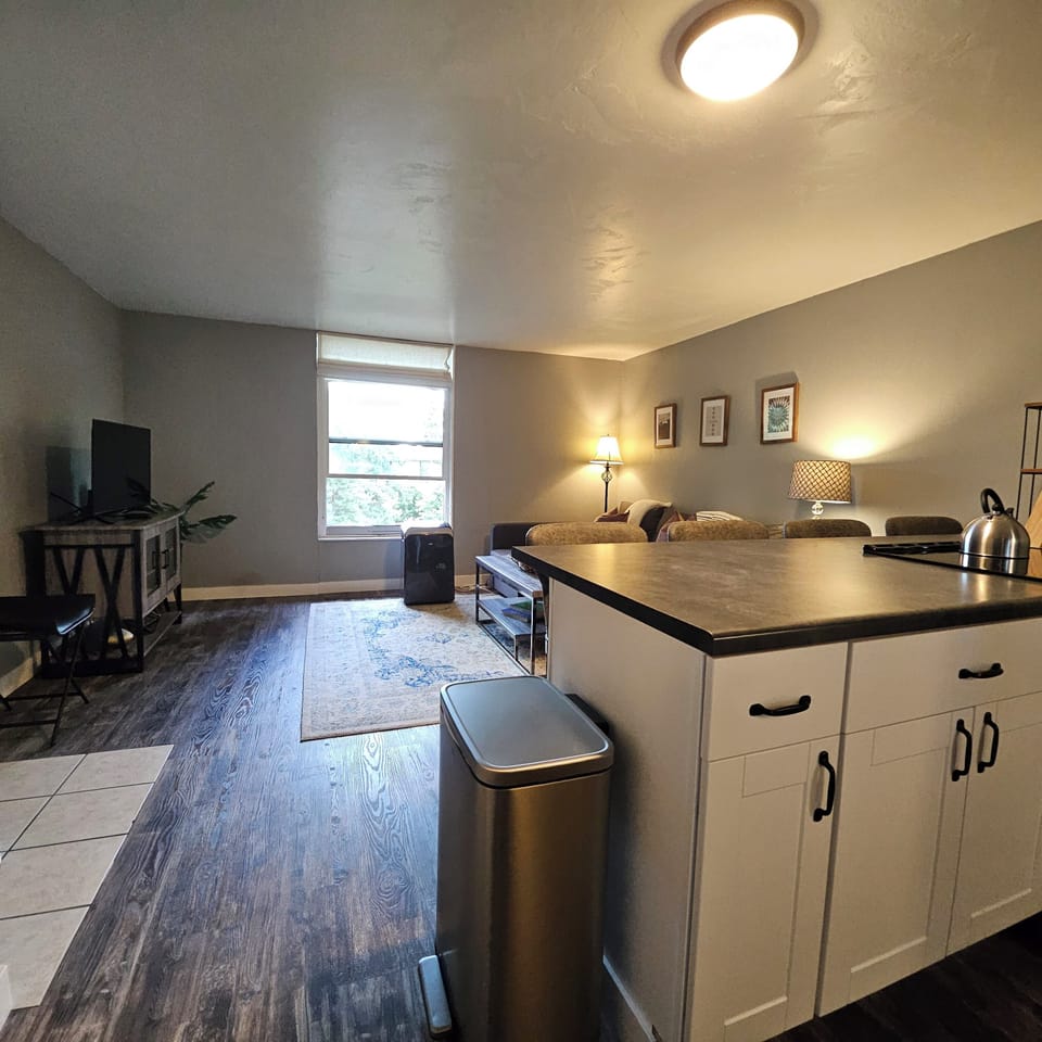 Open Kitchen and Living Room