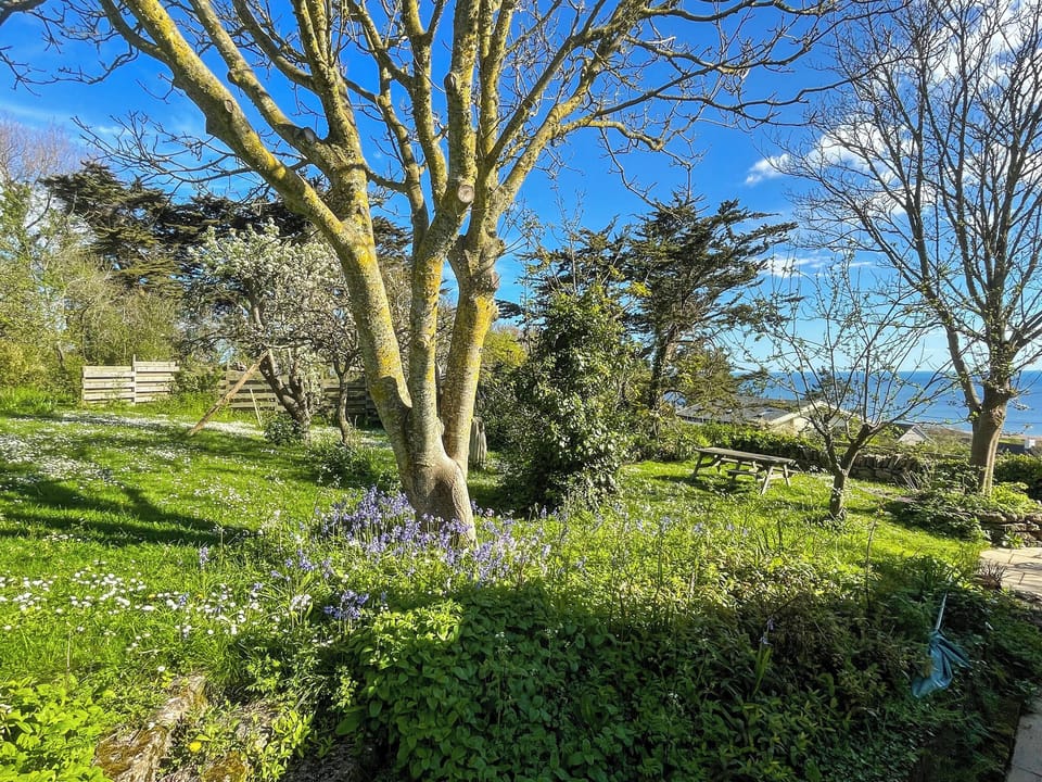 Outdoor | Mimosa - Wayside Cottages, Bridport