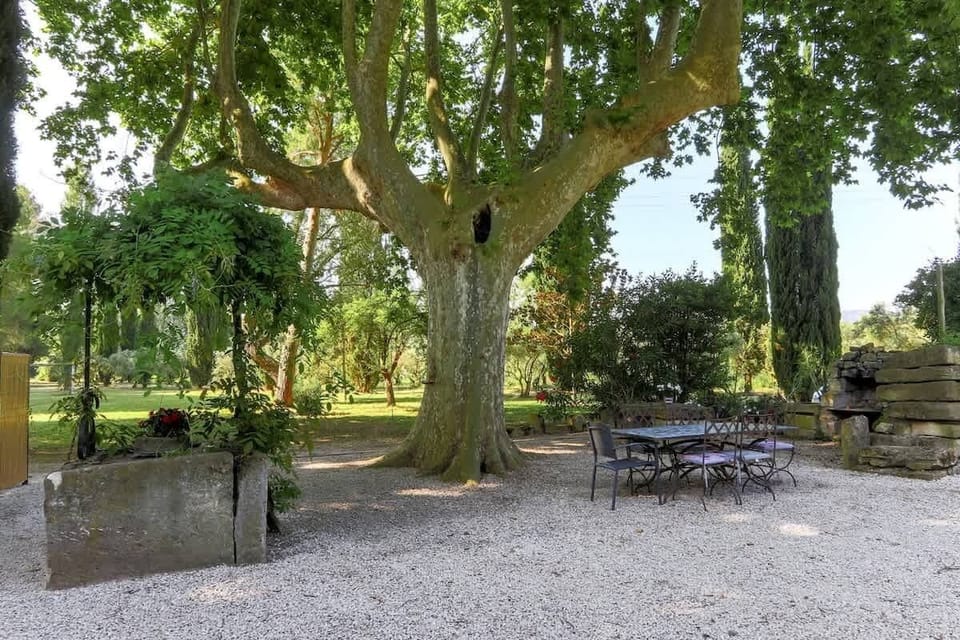 Grande table sous le platane, pour des repas à l’ombre, et barbecue en pierre