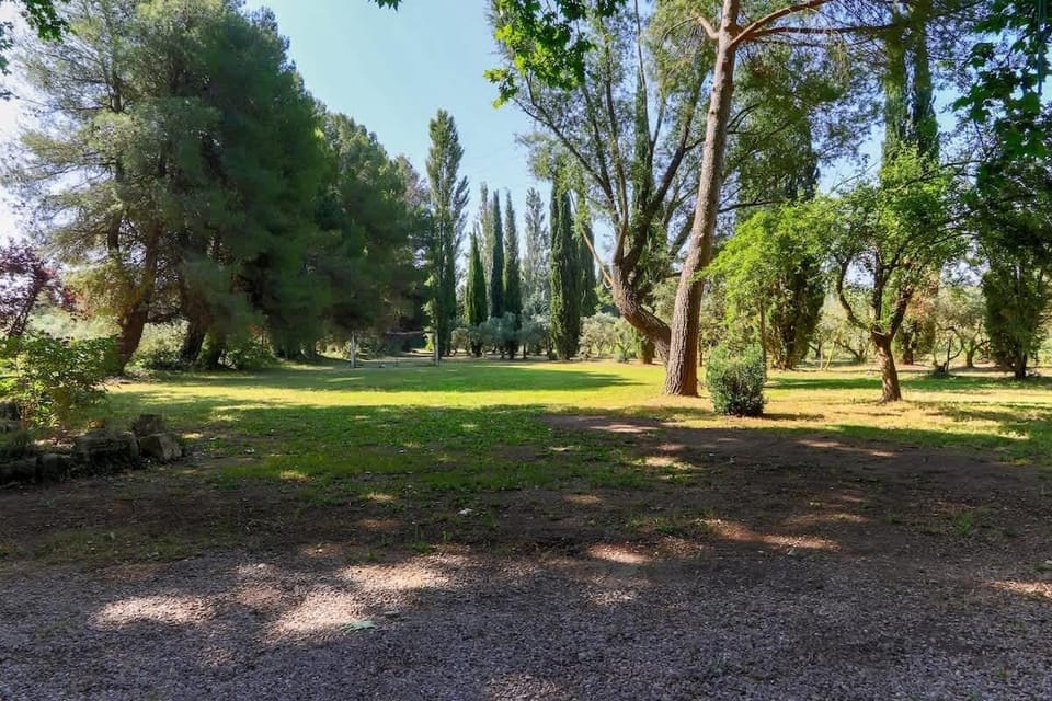 Grand jardin arboré autour de la maison.