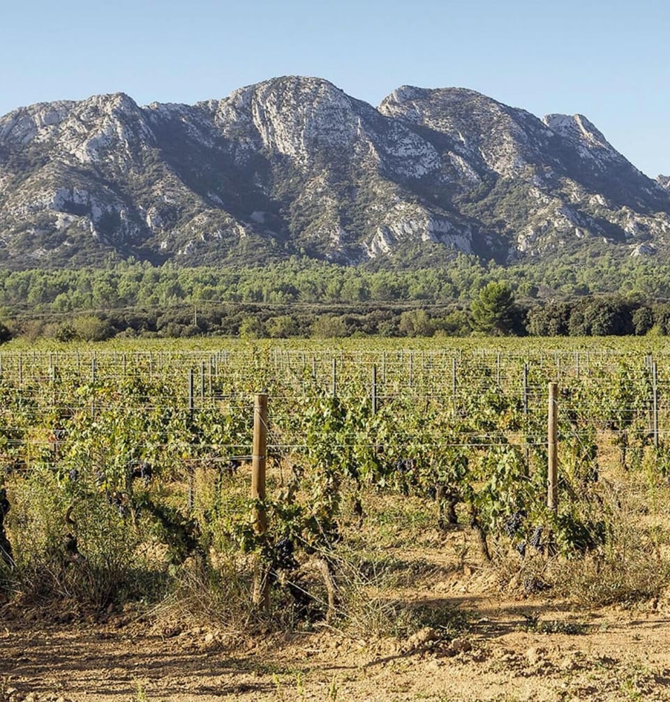 Un territoire de caractère, à explorer à travers ses domaines viticoles.