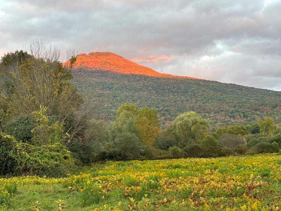 Golden Hour on the Hills

“Stunning sunset views across the surrounding hills and meadows.”