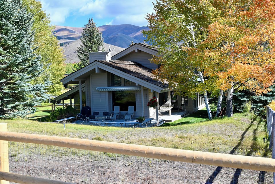 Backyard, yard, and deck