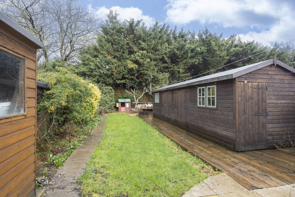 Back garden