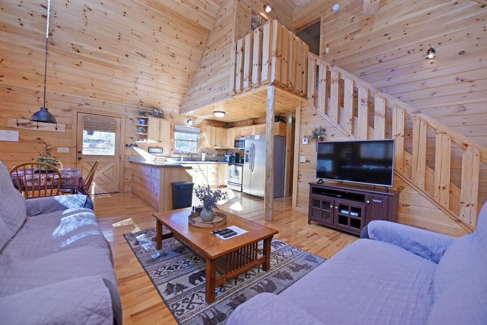 Pet Friendly cabin rental in Blue Ridge