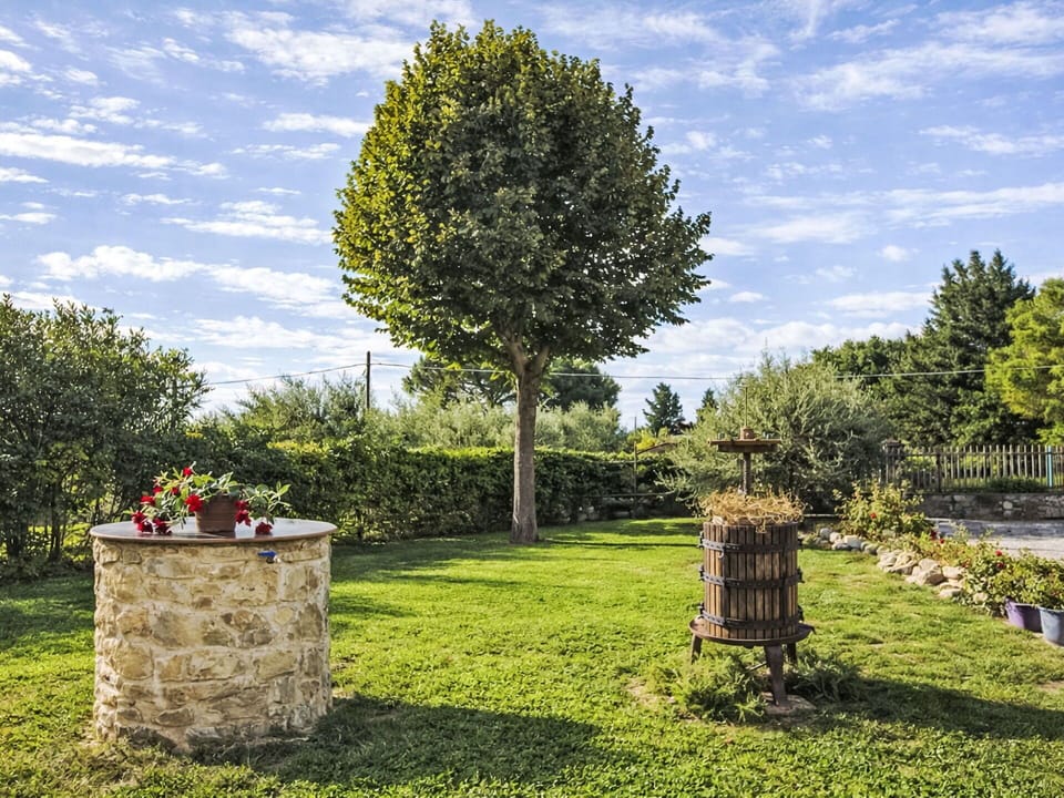 Green, Leaf, Shrub, Landscape, Garden, Trunk, Woody Plant, Lawn, Spring, Landscaping