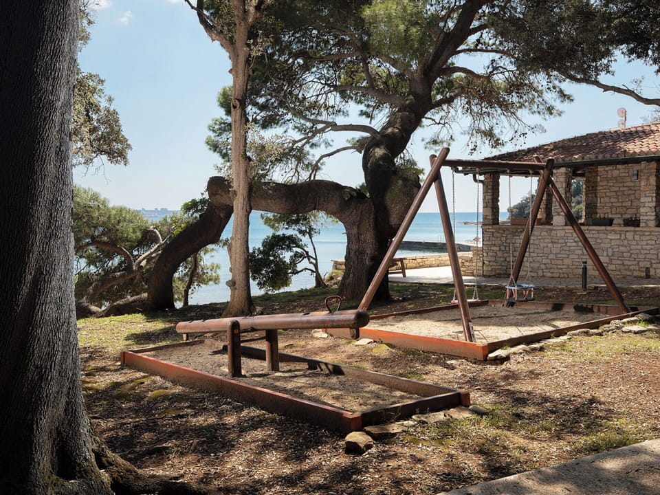 Wood, Trunk, Shade, Outdoor Furniture, Lumber, Bench, Outdoor Structure