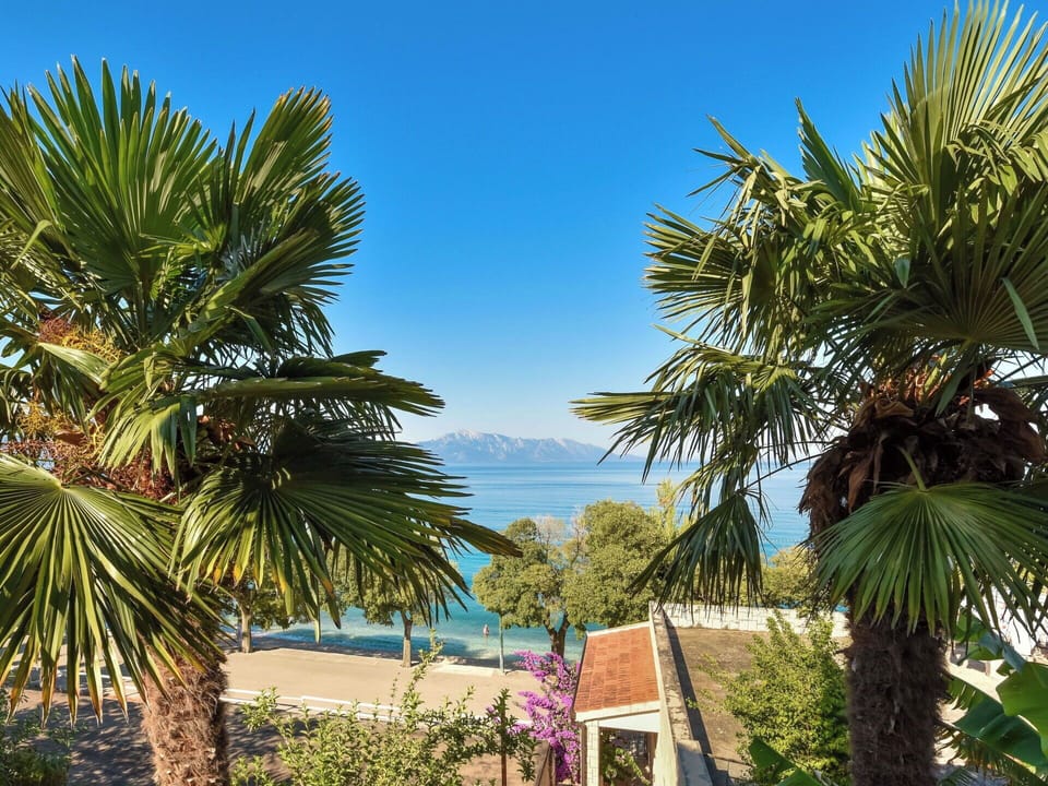 Blue, Tree, Leaf, Vegetation, Tropics, Shade, Coast, Eco Hotel