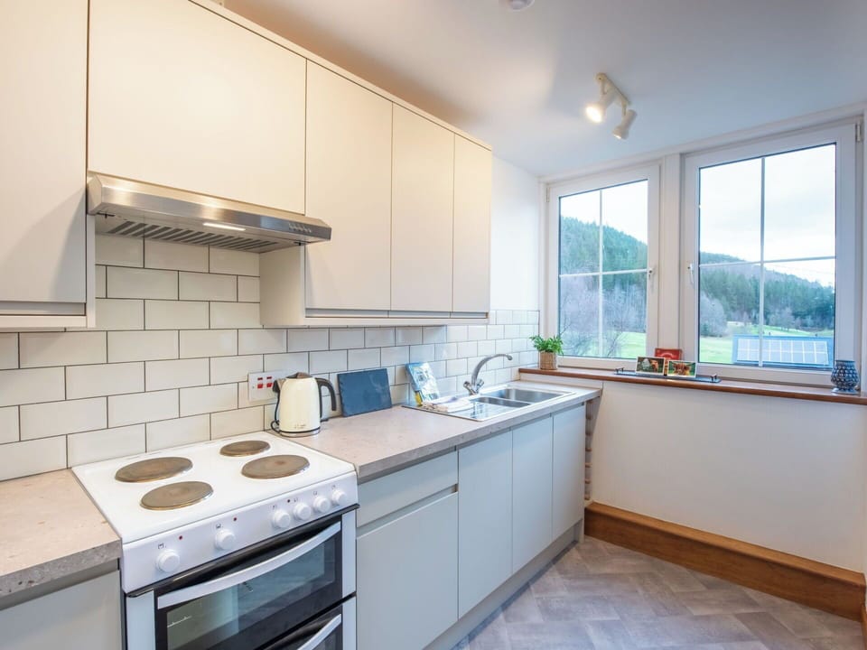 Kitchen Appliance, Kitchen, Countertop, Cabinetry, Major Appliance, Interior Design, Flooring, Kitchen Stove, Wood, Home Appliance