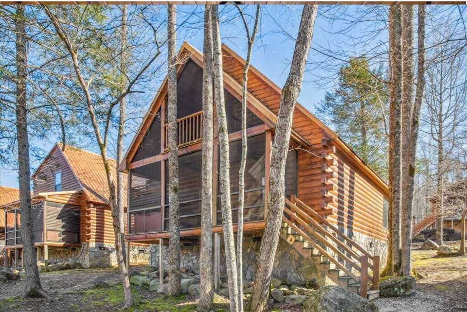 Modern log cabin nestled among tall trees, featuring warm wood siding and large windows for natural light.