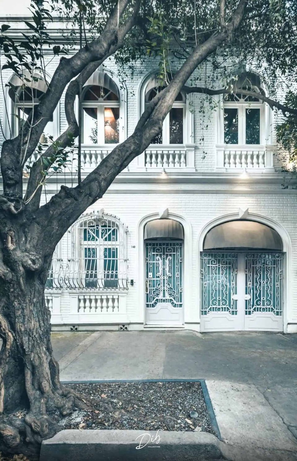 Classic architecture where Mexico City's best neighborhood begins.