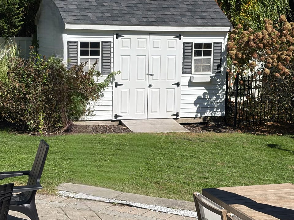 Backyard