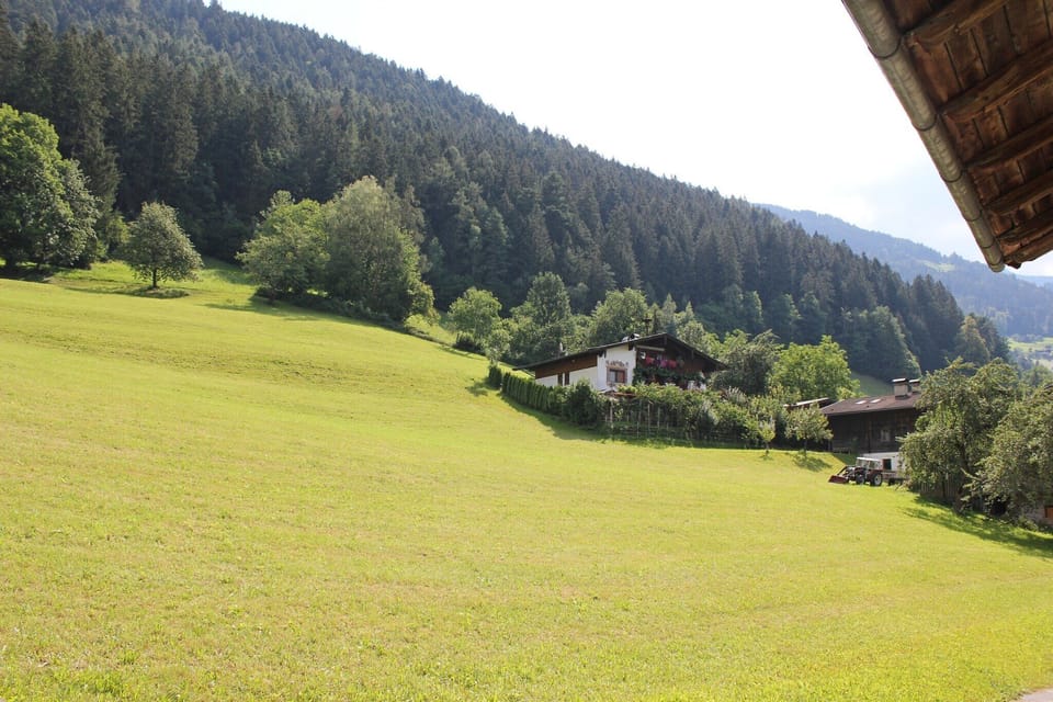 View from Holiday Home [summer]