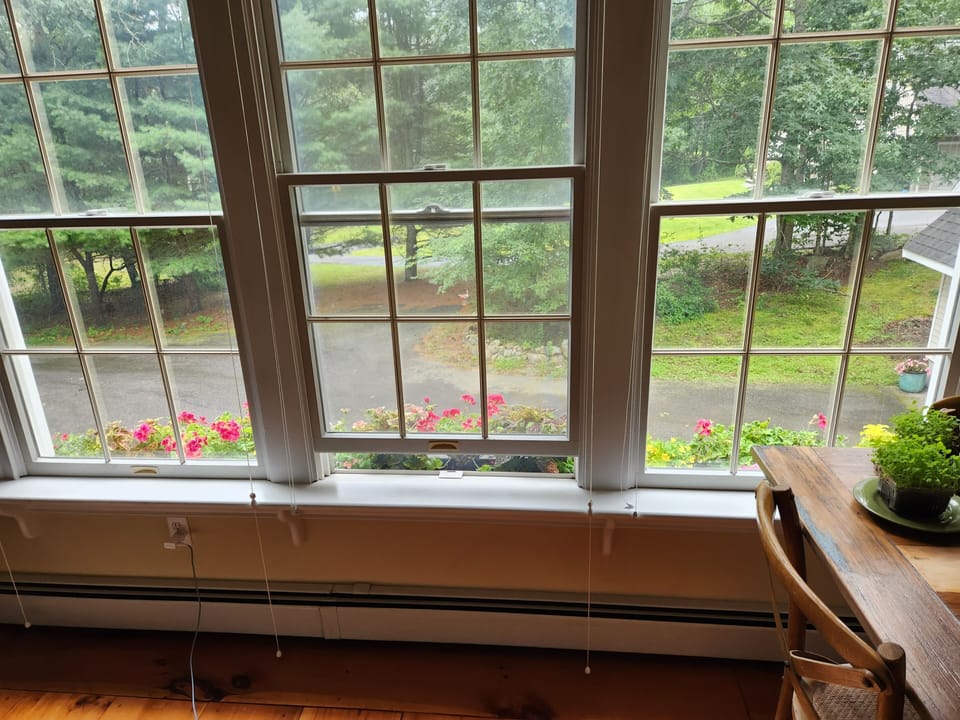 Window boxes that attract birds and butterflies. Will need to be watered. 