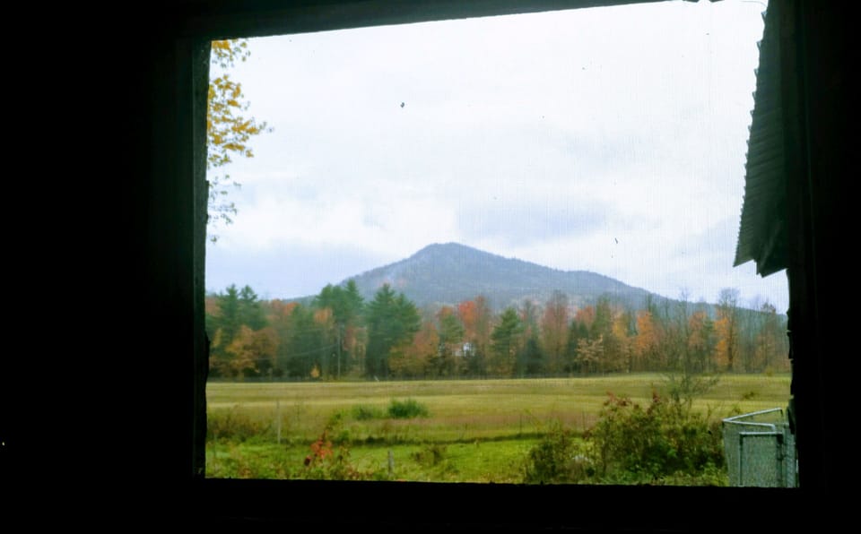 View from property
