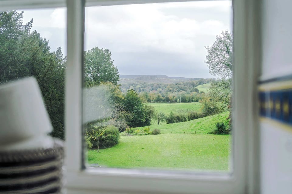 Scenic View: Marvel at rolling hills and lush greenery right from your window!
