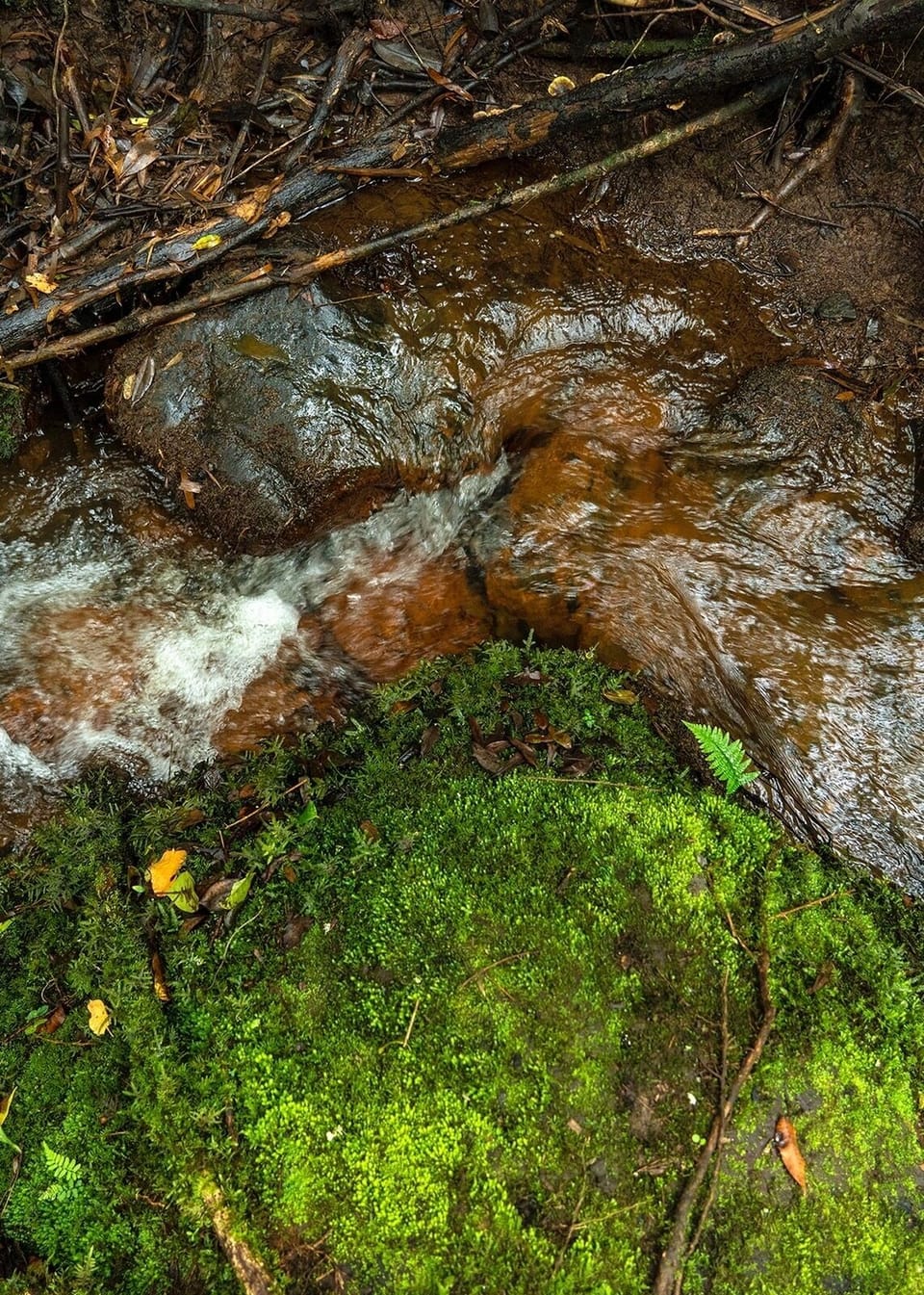 Miscellaneous