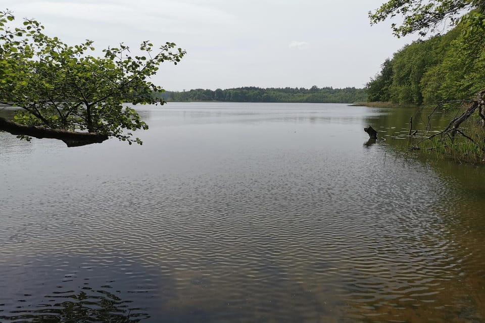 Surroundings [summer] (1-5 km)