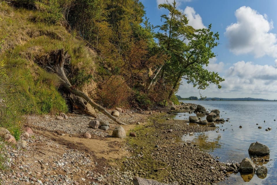 Region [summer] (>5 km)