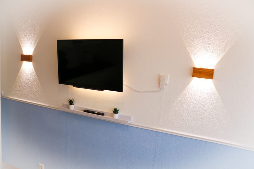 Television