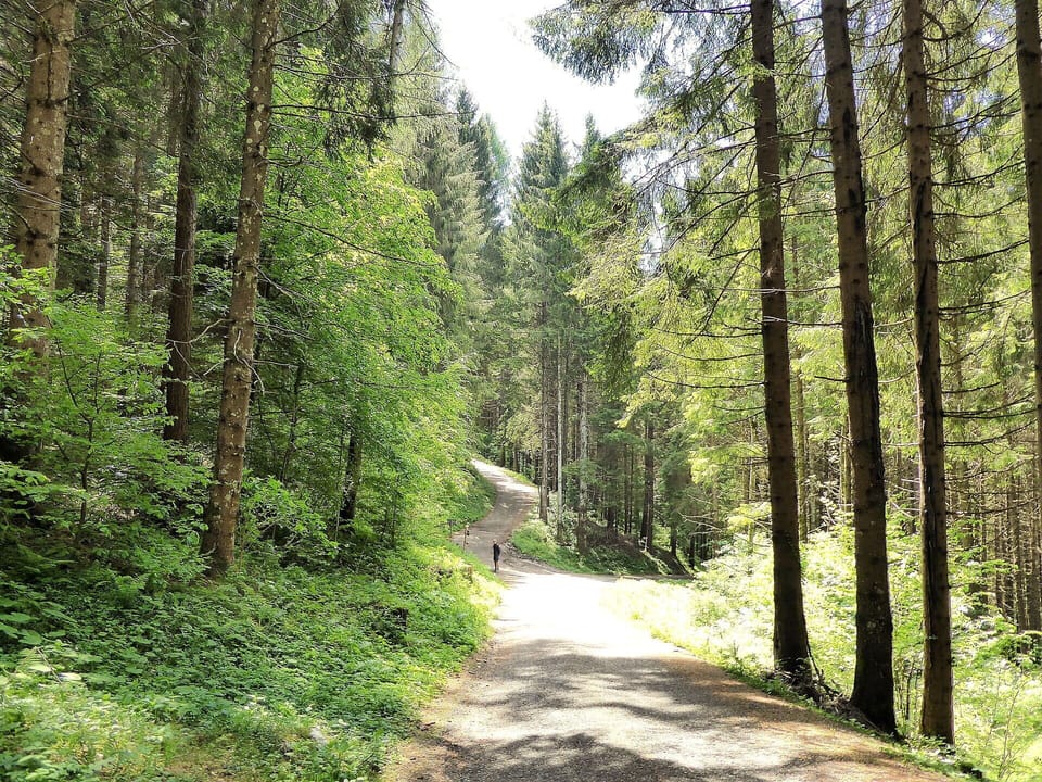 Activities, Autumn, Outdoor, Spring, Summer