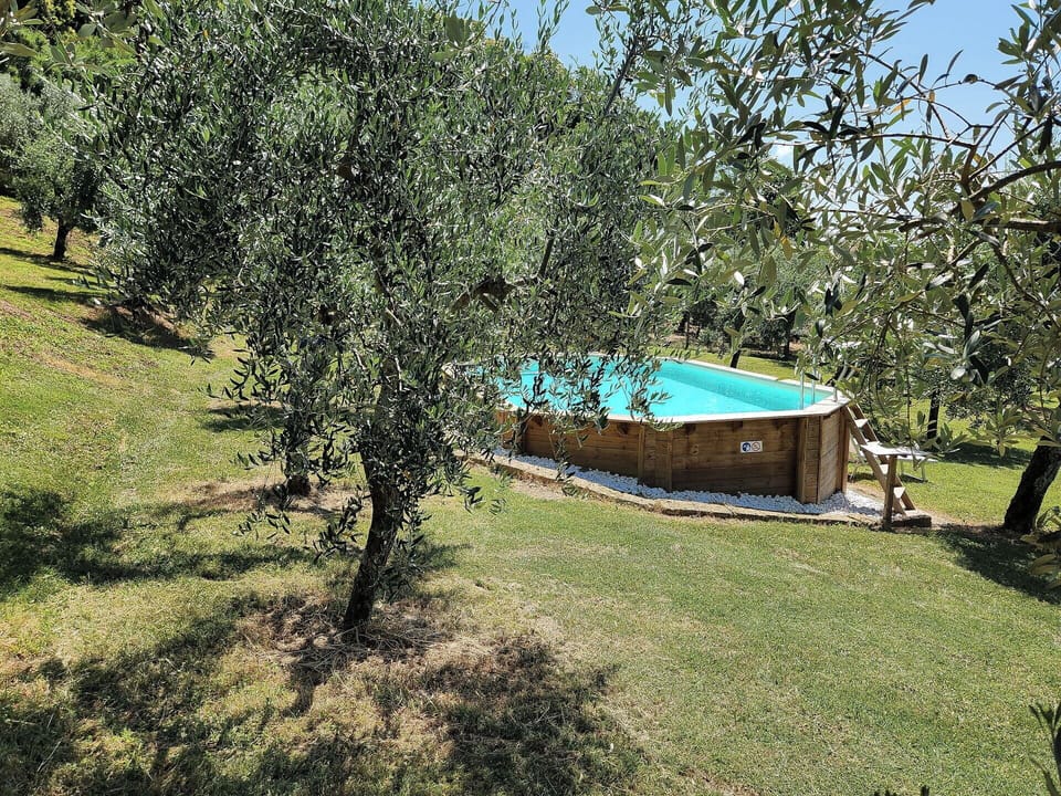 Autumn, Pool, Spring, Summer