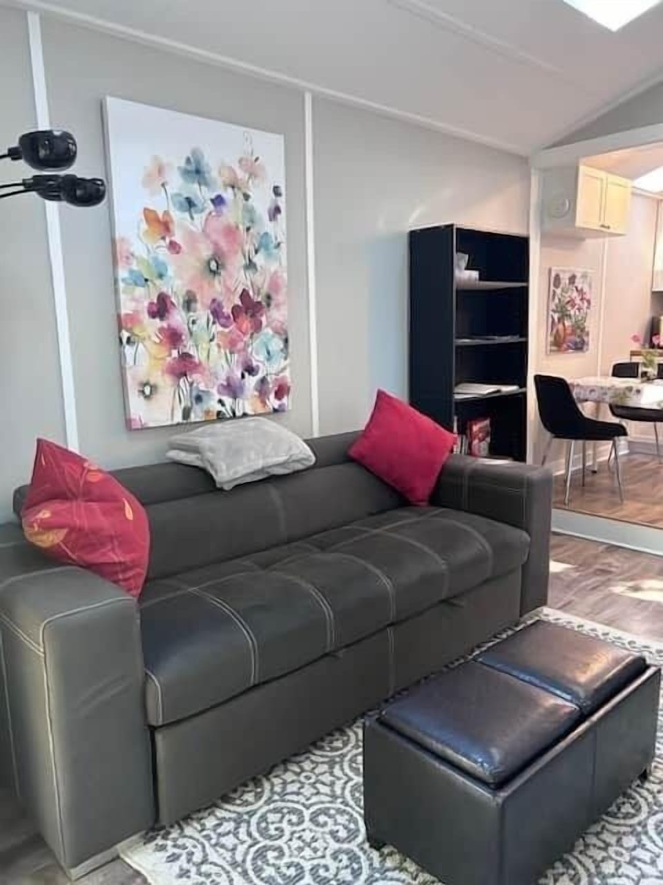 Super comfortable pull out queen bed in addition to queen bed in private bedroom