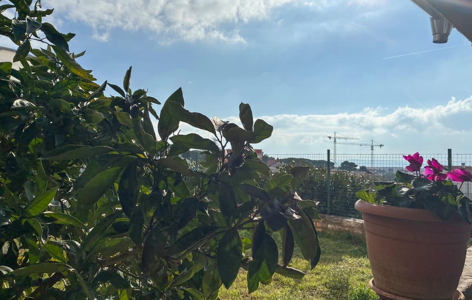 outside
