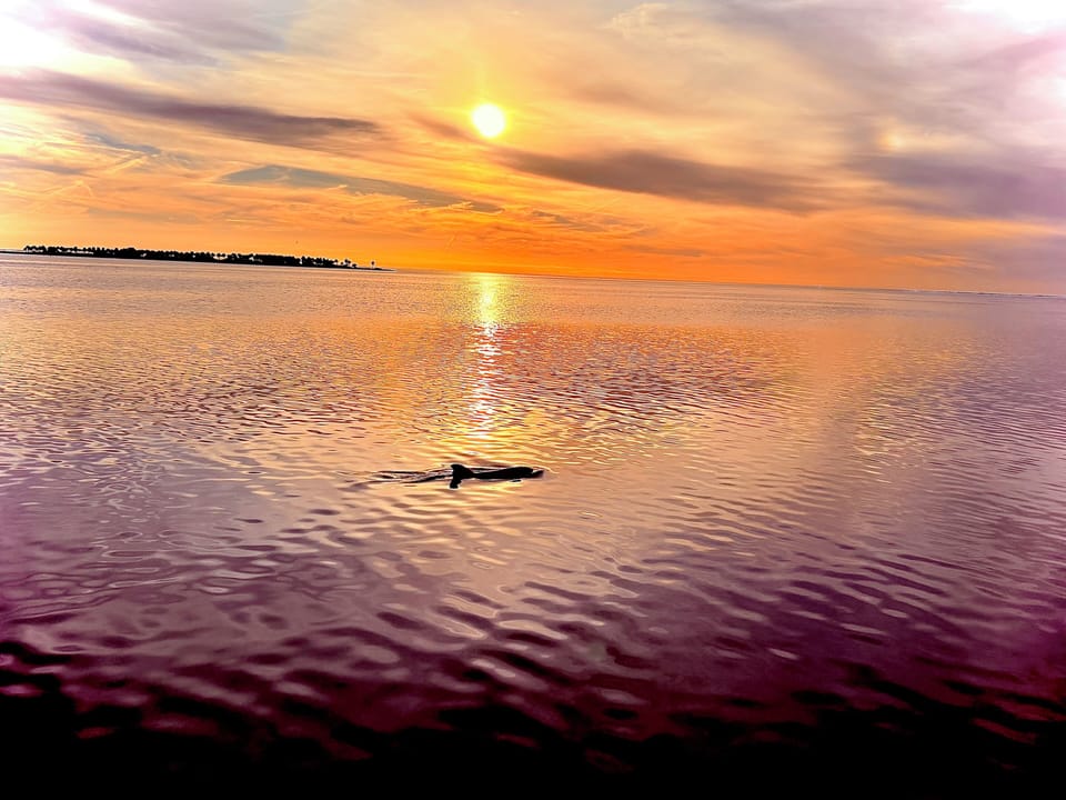 Sunset from the dock