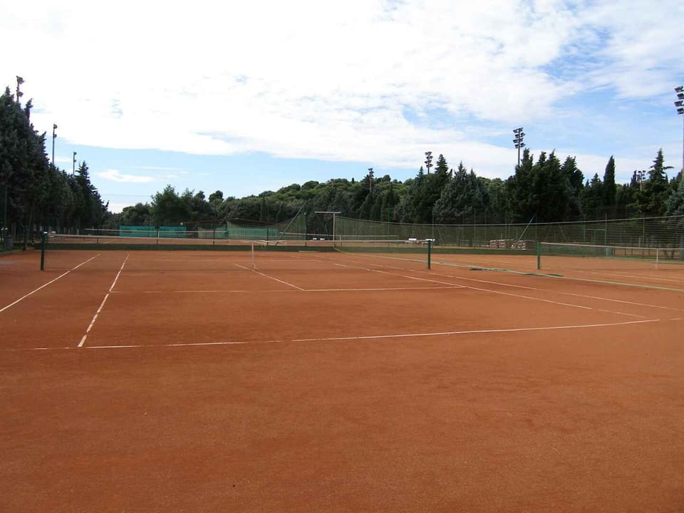 Sport court