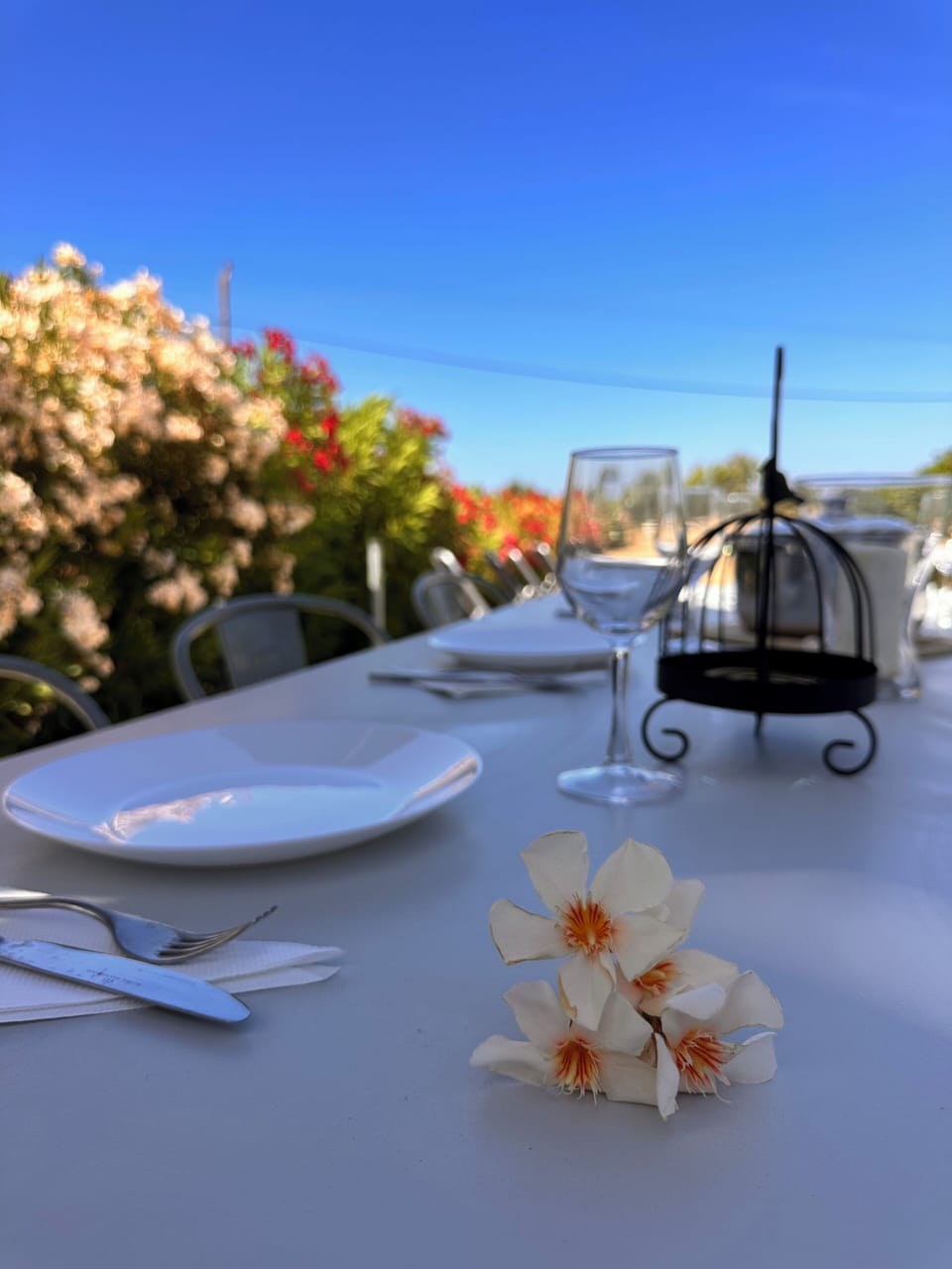 Outdoor dining