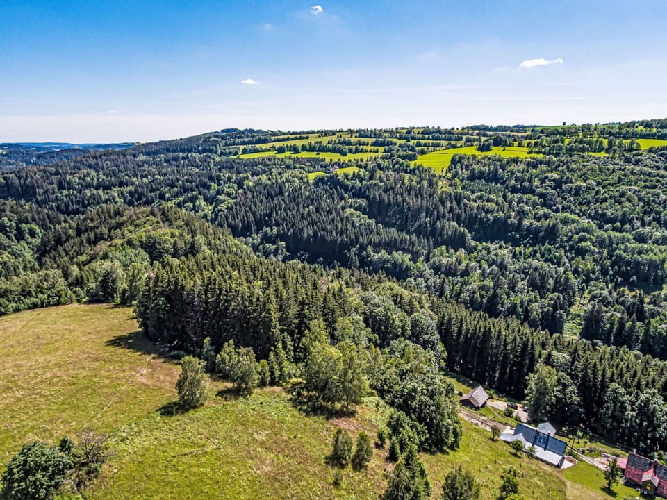 Natural Environment, Green, Natural Landscape, Landscape, Grassland, Plain, Land Lot, Forest, Field, Bird'S-Eye View