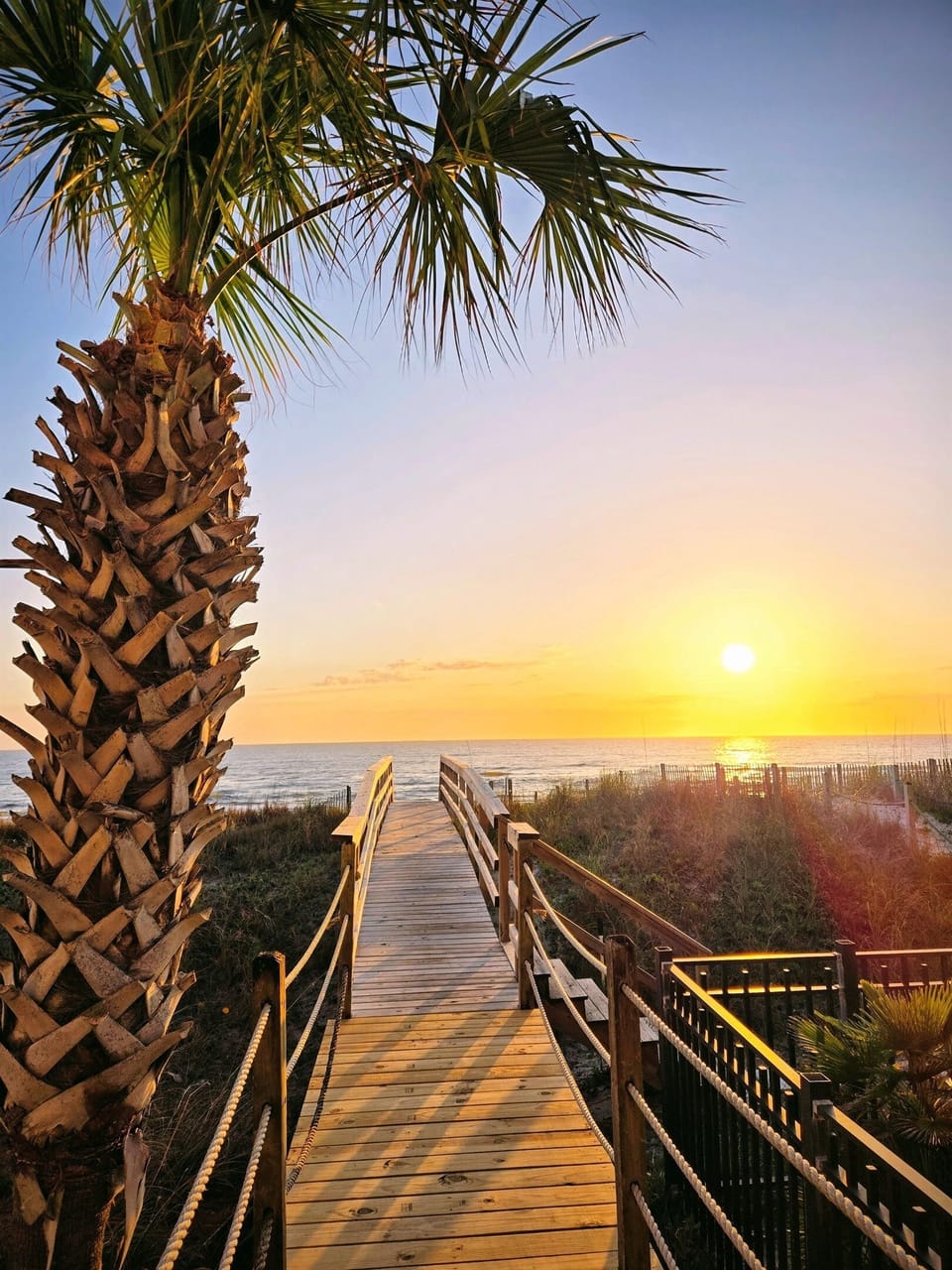 Boardwalk
