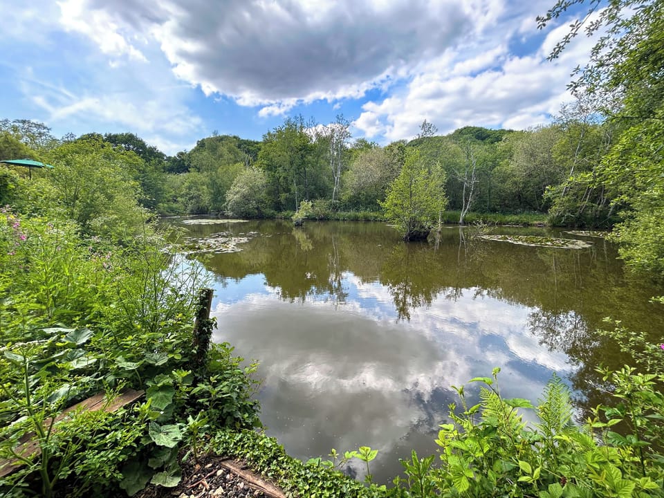 Surrounding area | Corrie Willow Lodge, Alverstone, near Sandown