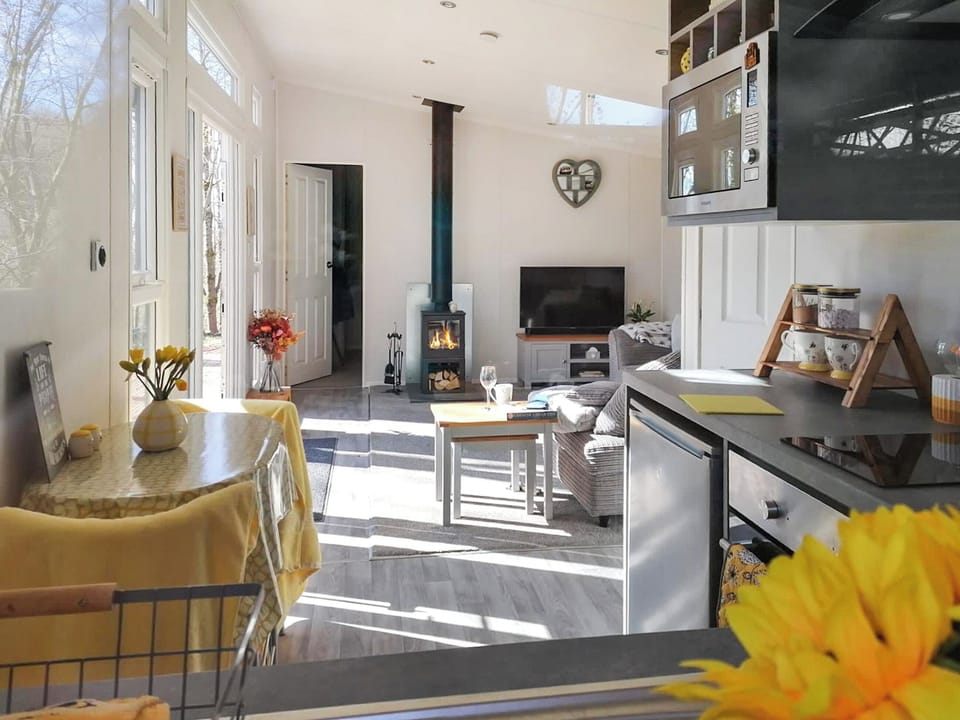 Living area | Ty cwtch Cabin - Great House Hideaways, Usk