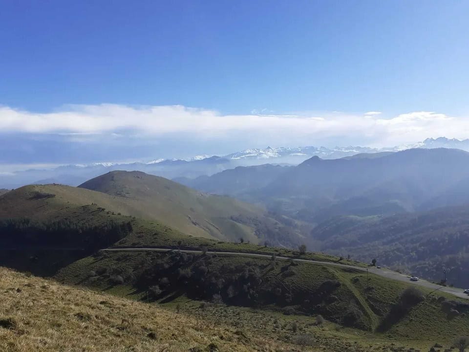 Areal view
