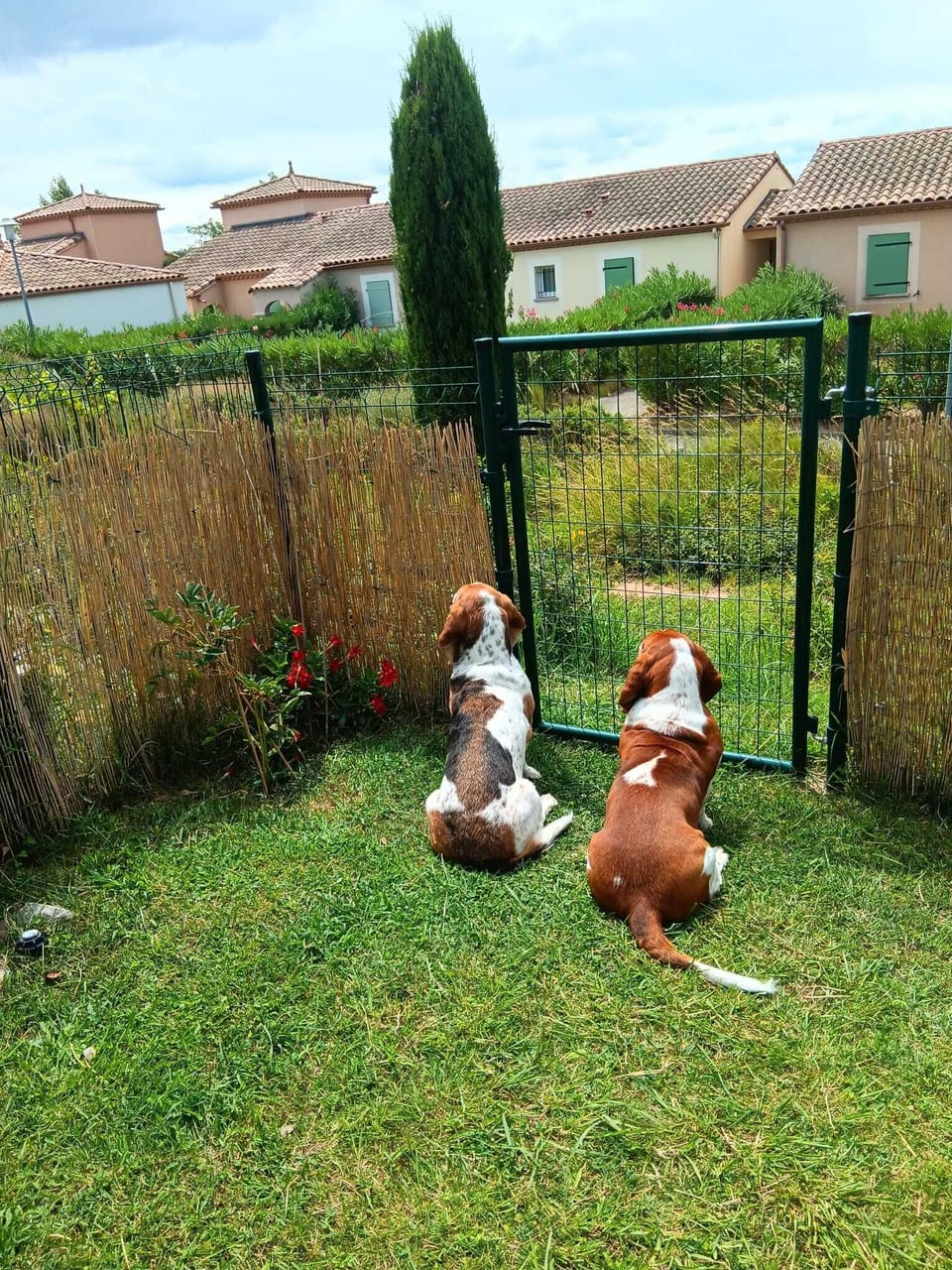 safe secure garden south facing 