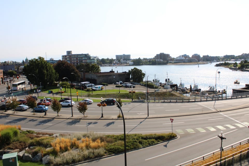 Harbour View 