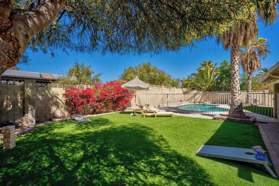 Sunny backyard with green grass and a sparkling pool
