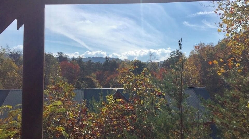 Back Porch View